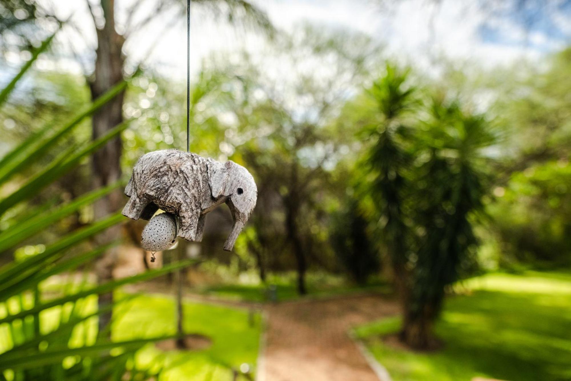 Taranga Safari Lodge روندو المظهر الخارجي الصورة